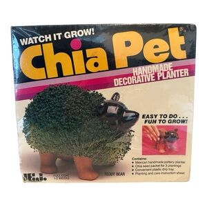 Vintage Chia Pet Teddy Bear New Unopened Terracotta
